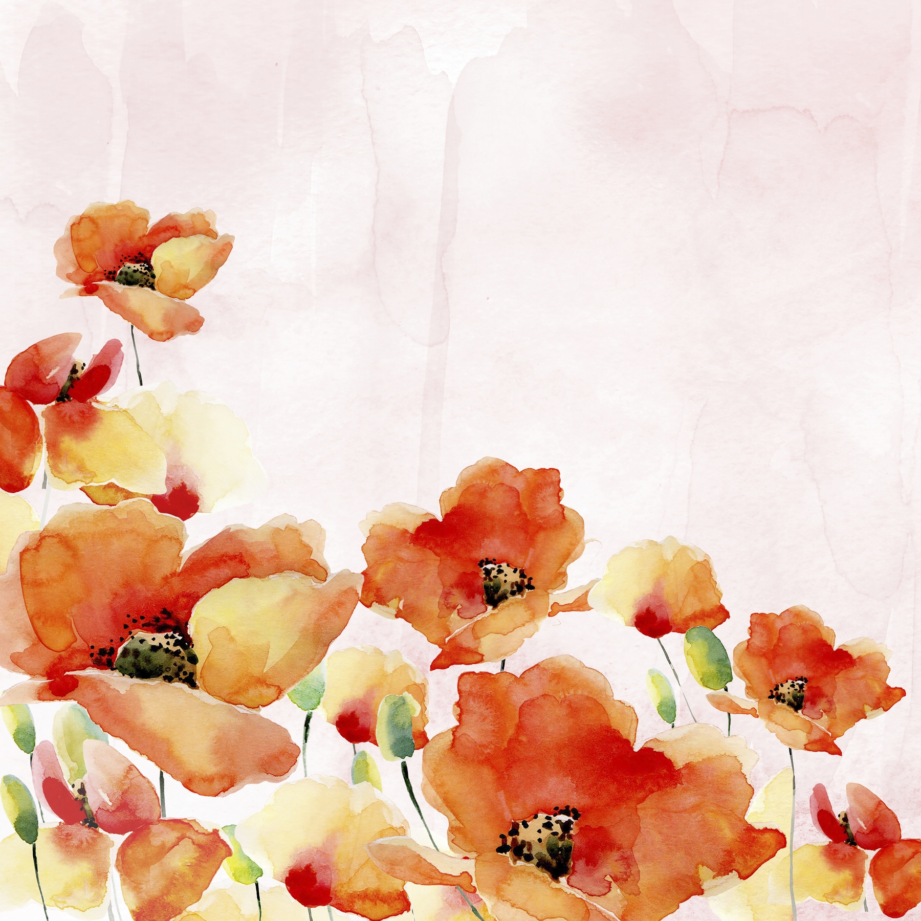 Buy Poppies 2 Wallpaper Free Shipping At Happywall Co Uk