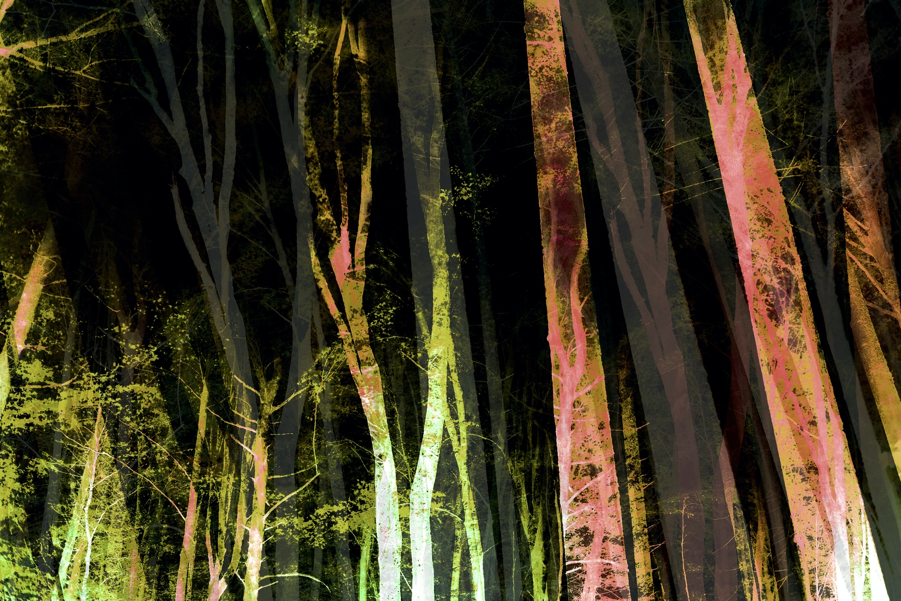 Forest Nights Wallpaper Dark Mysterious Happywall