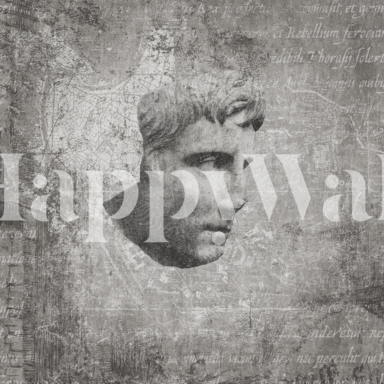 Antika Head Of Augustus Tapet Med En Klassisk Skulptur Med En Strukturerad Grå Bakgrund