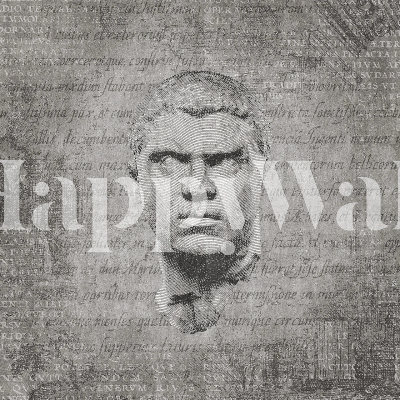 Ancient Head Of Caracalla Tapete In Einem Raum