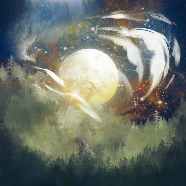 Woodland Moon Magic