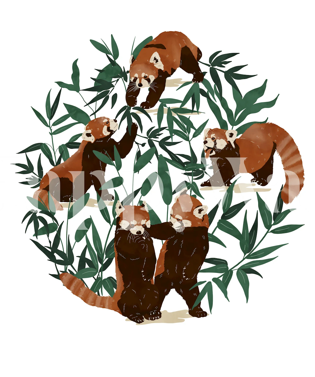 Playful red pandas climbing and playing amid green bamboo leaves wallpaper