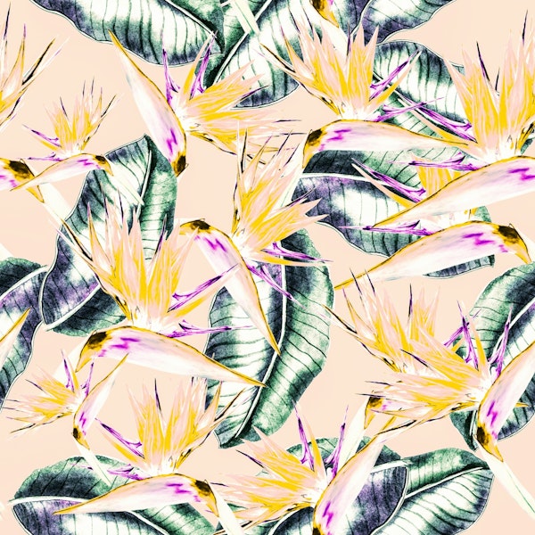 Eden's Touch Elegance