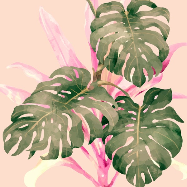 Pastel Jungle Essence