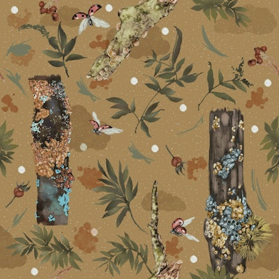 Pattern