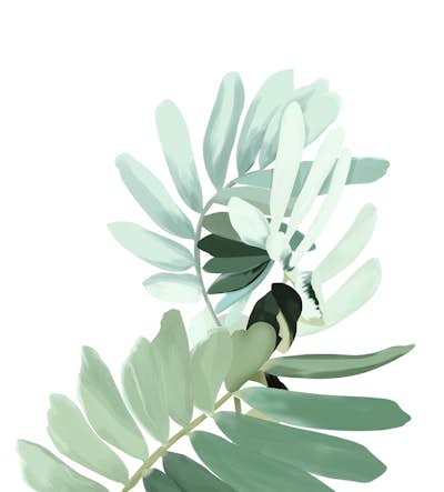 Τοιχογραφία