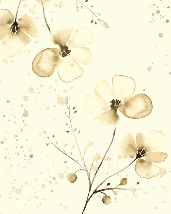 Romantic flower_shade Buttery White