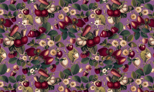 Strawberry Fields Forever VI