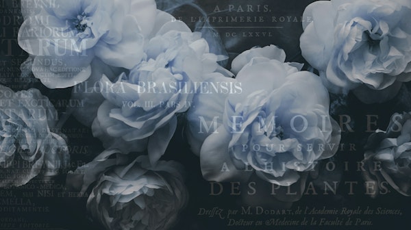 Chic Floral Noir Tales