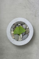 Zen Stone And Gingko Harmony tapete