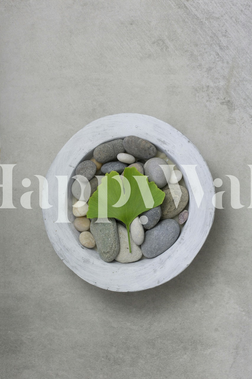 Zen Stone And Gingko Harmony tapet i ett rum
