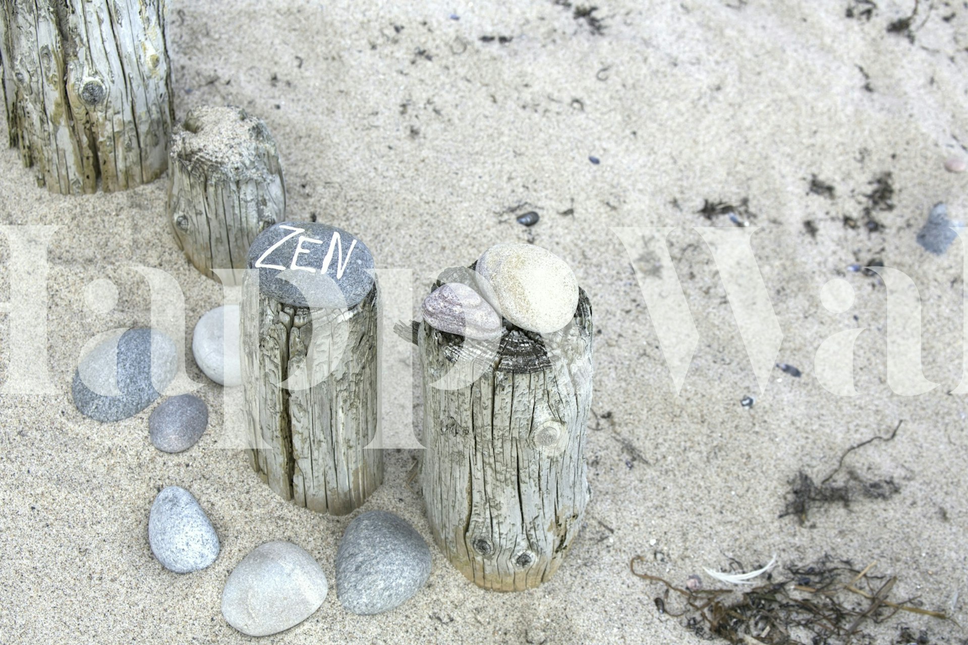 Zen Serenity Beach Vibes wallpaper in a room