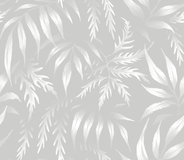 Fernleaf Aralia - White