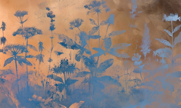 Pure Garden Botanicals