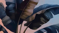 Tropical Ombre Foliage wallpaper