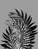 Palm Leaves Tiger Stripe Glam ταπετσαρία