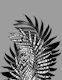 Palm Leaves Tiger Stripe Glam