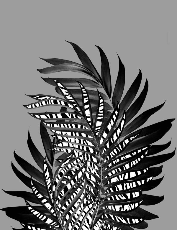 Palm Leaves Tiger Stripe Glam