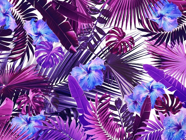 Tropical Hibiscus Jungle 2