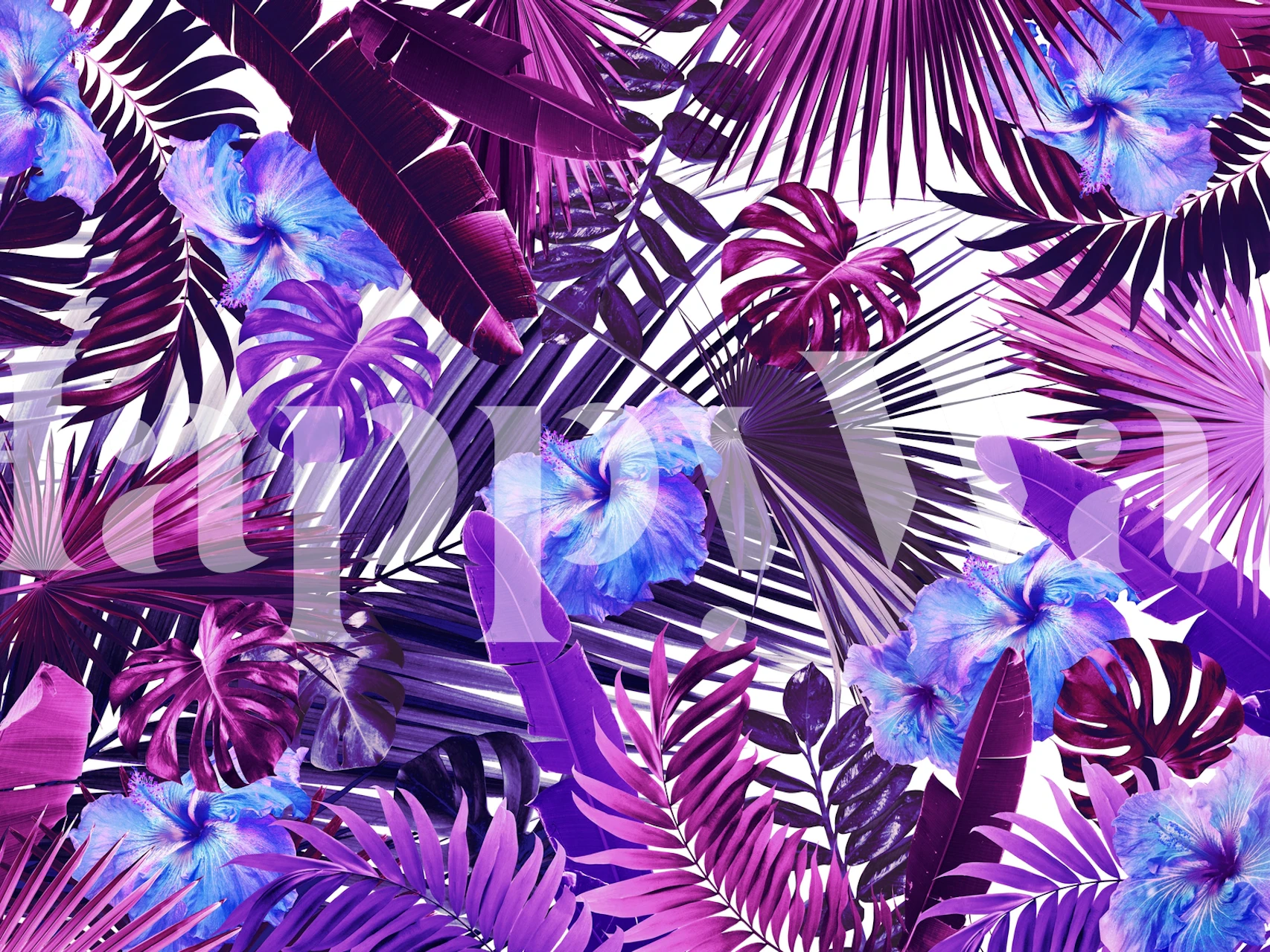 Tropical Hibiscus Jungle wallpaper in een kamer