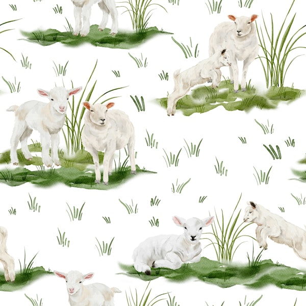 Peaceful Lamb Pasture