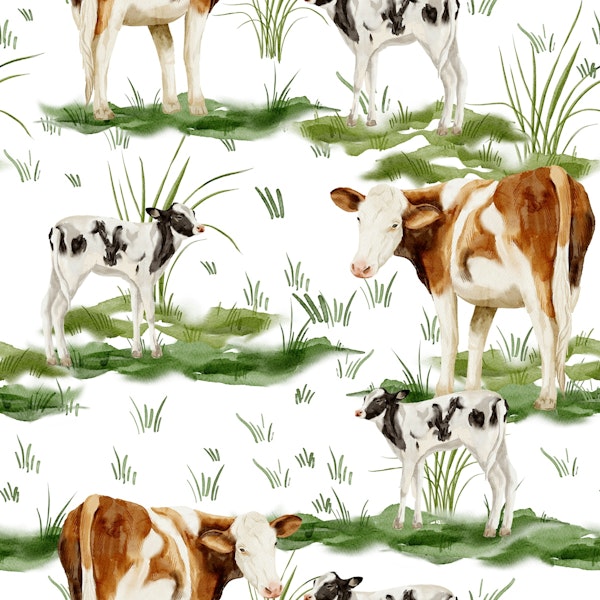 Countryside Cows Decor