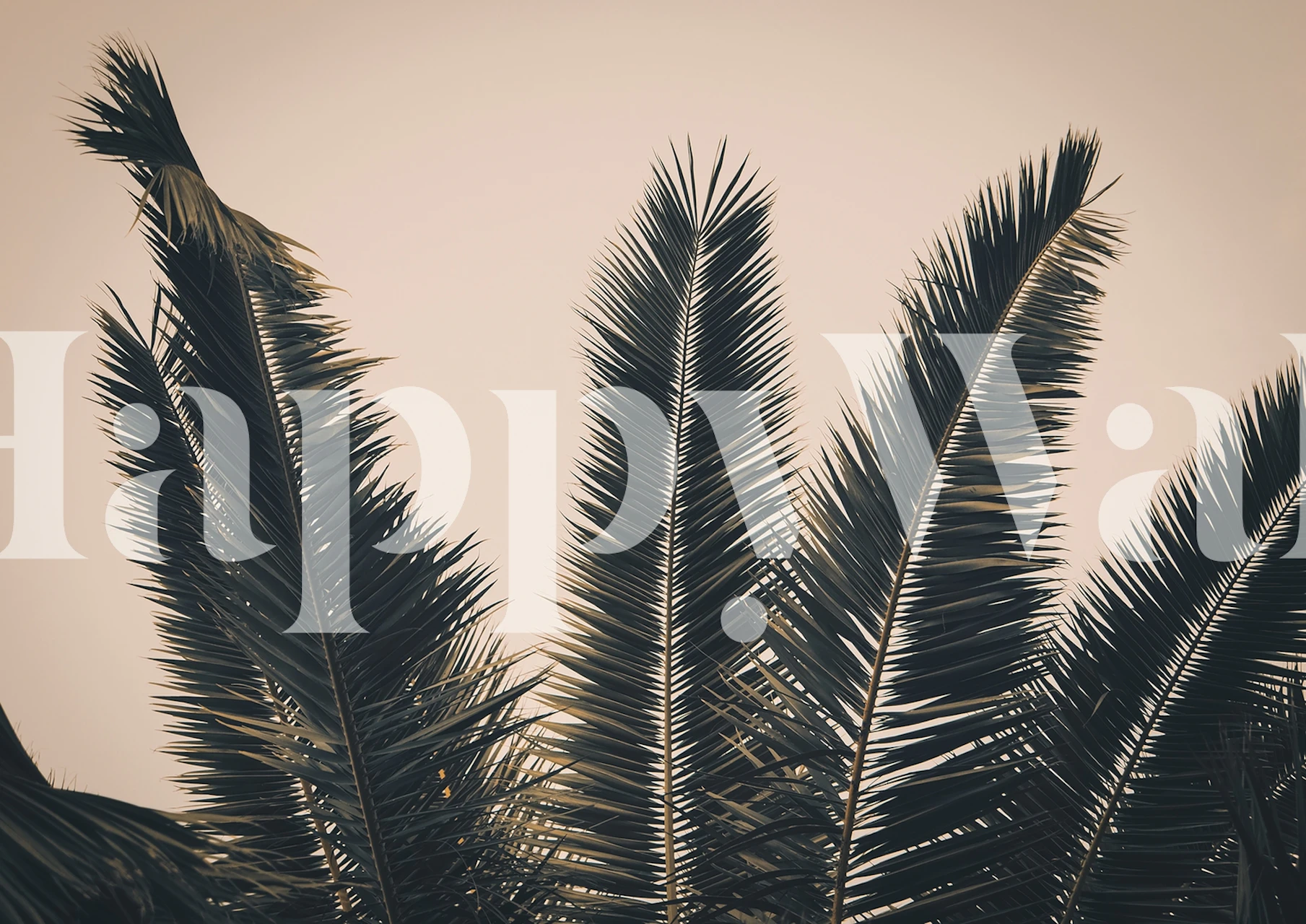 Monochrome Palm Leaves Wall Mural for a Tranquil Ambiance