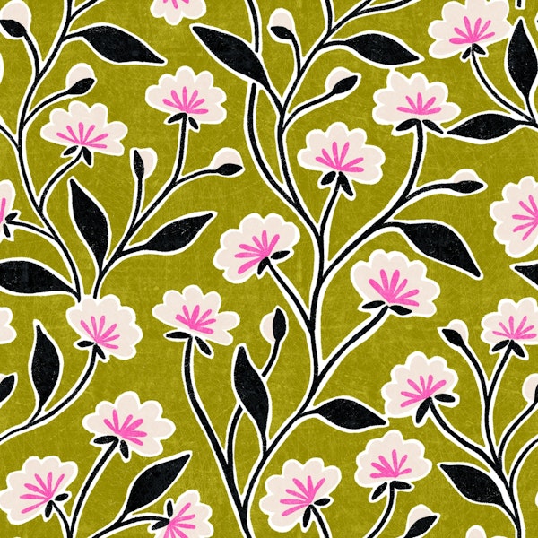 Harlow (green and pink)