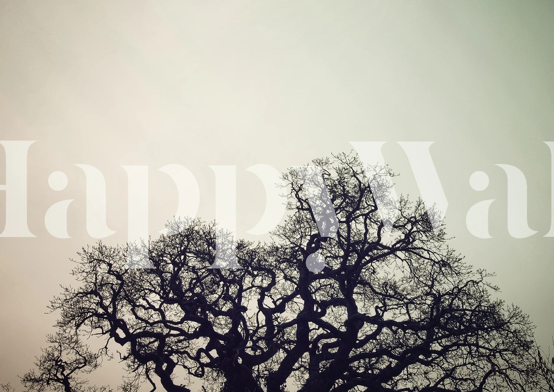 Skeleton tree wallpaper in a room