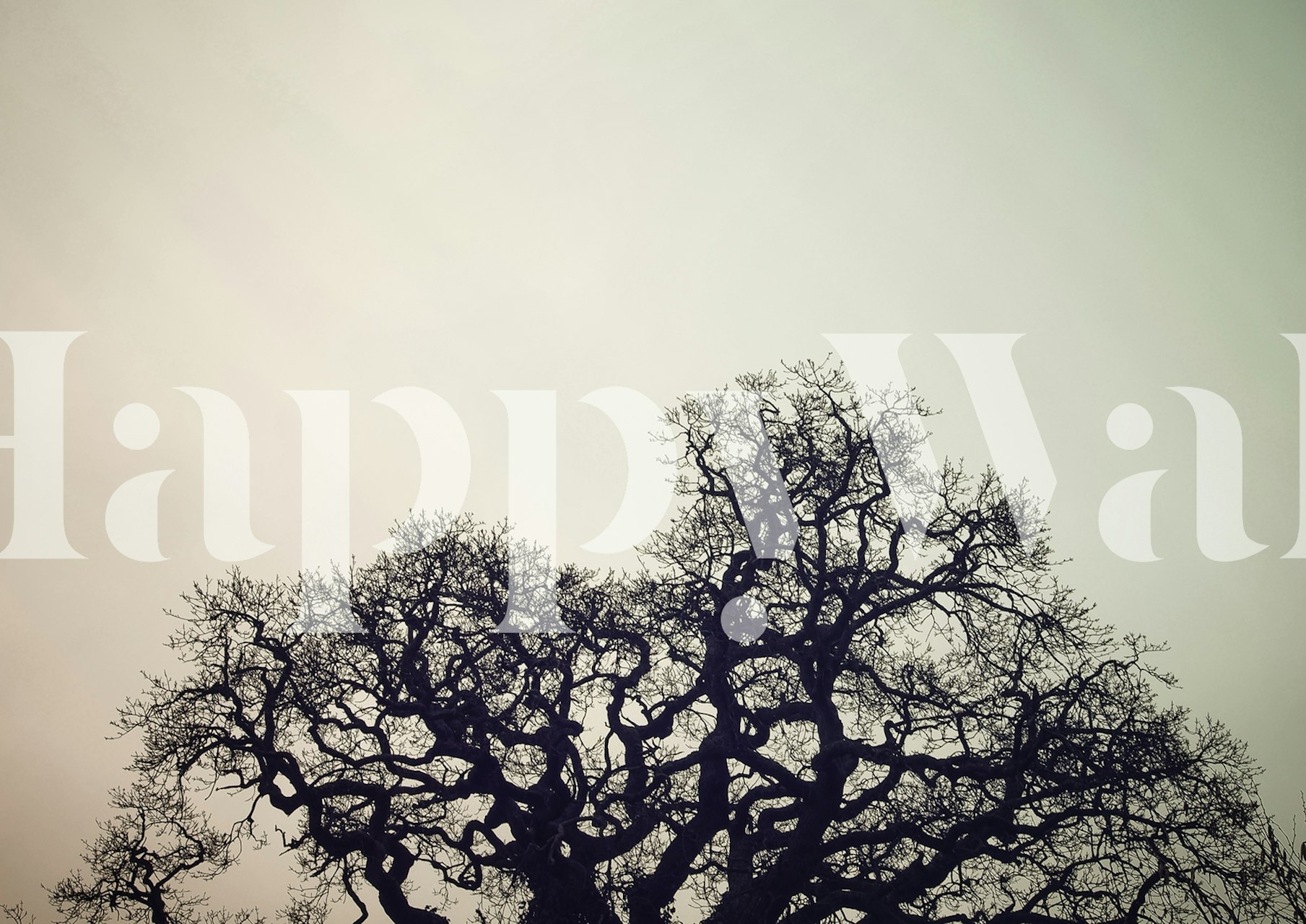 Skeleton tree wallpaper in a room