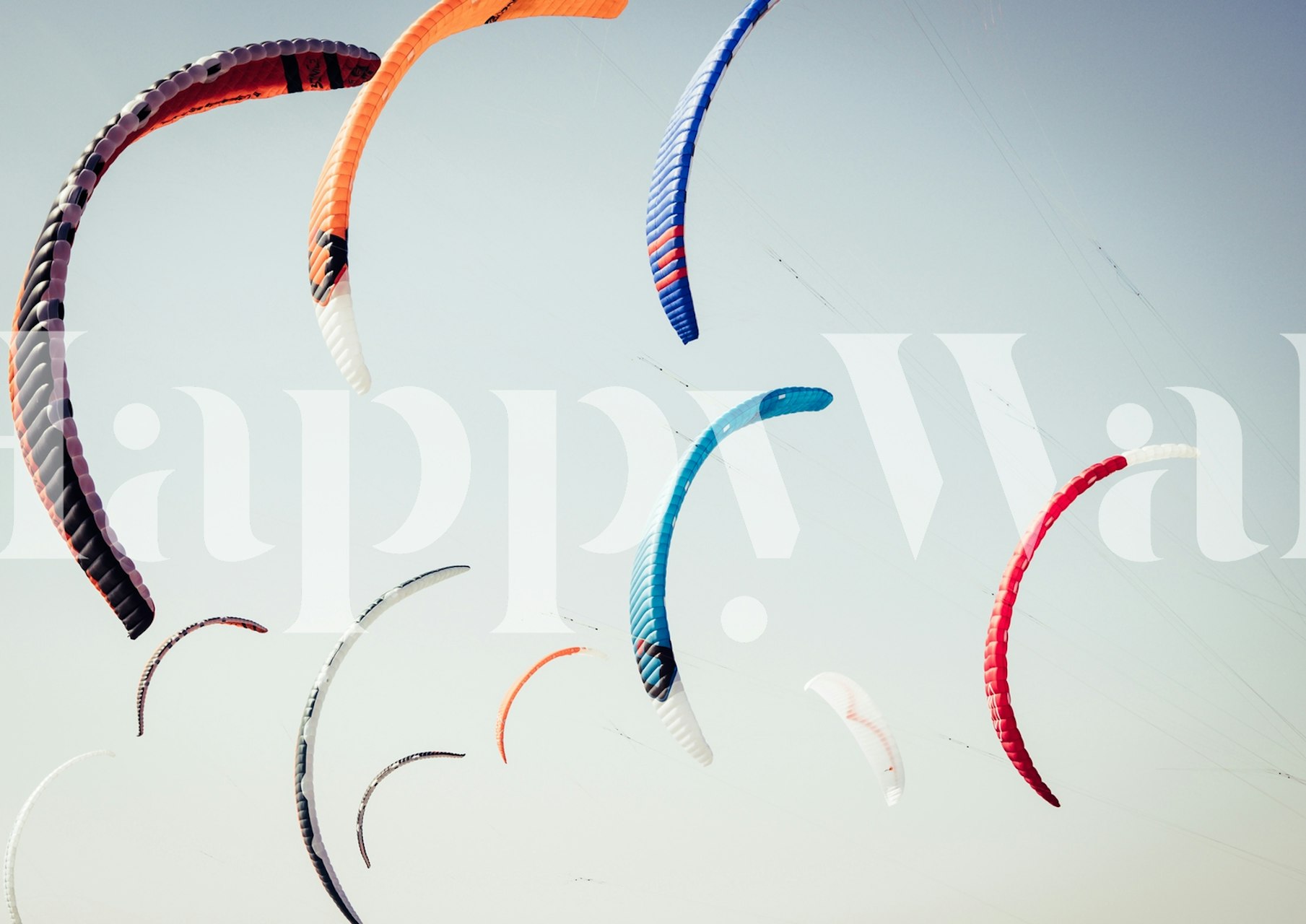 Kites on the beach design della carta da parati