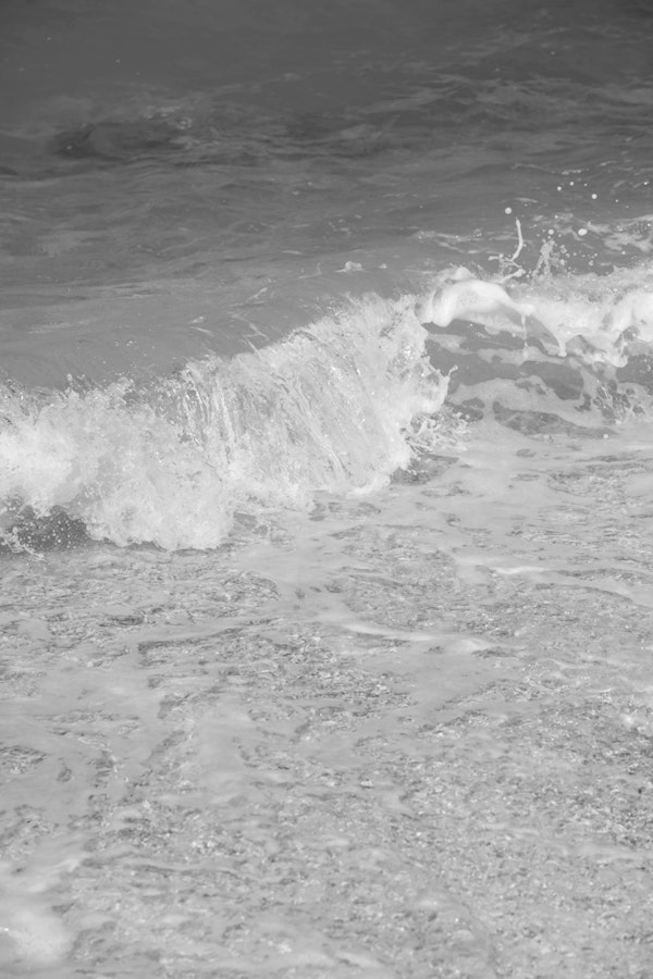 Tropical Shoreline Bliss 2