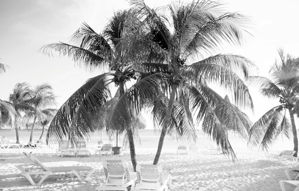 Caribbean Beach Bliss 8