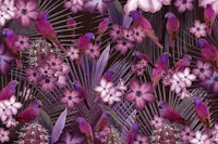 Exotic Bird Paradise 1 wallpaper