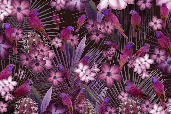 Exotic Bird Paradise 1