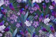 Exotic Bird Paradise 2