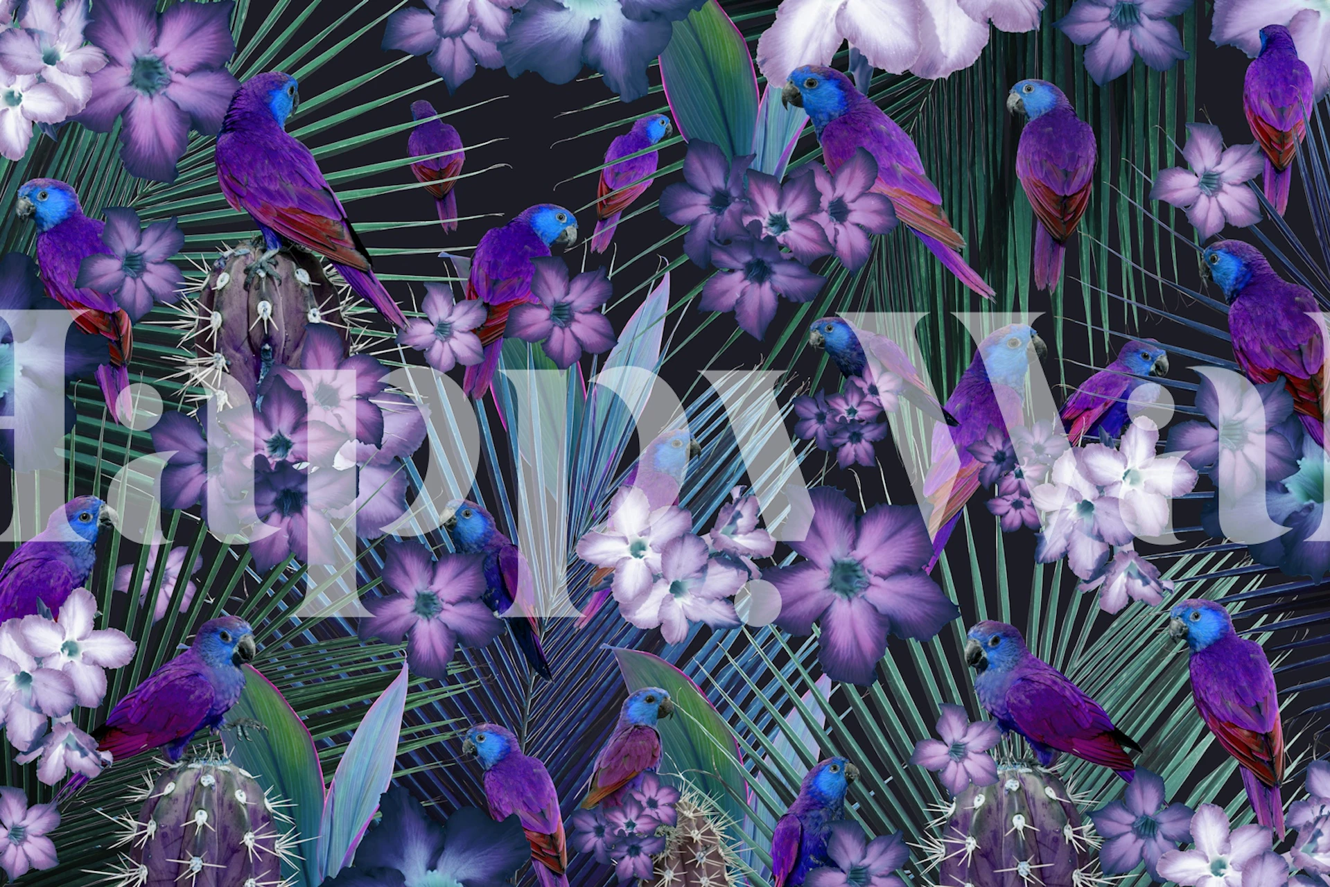 Exotic Bird Paradise 2 tapetti huoneessa