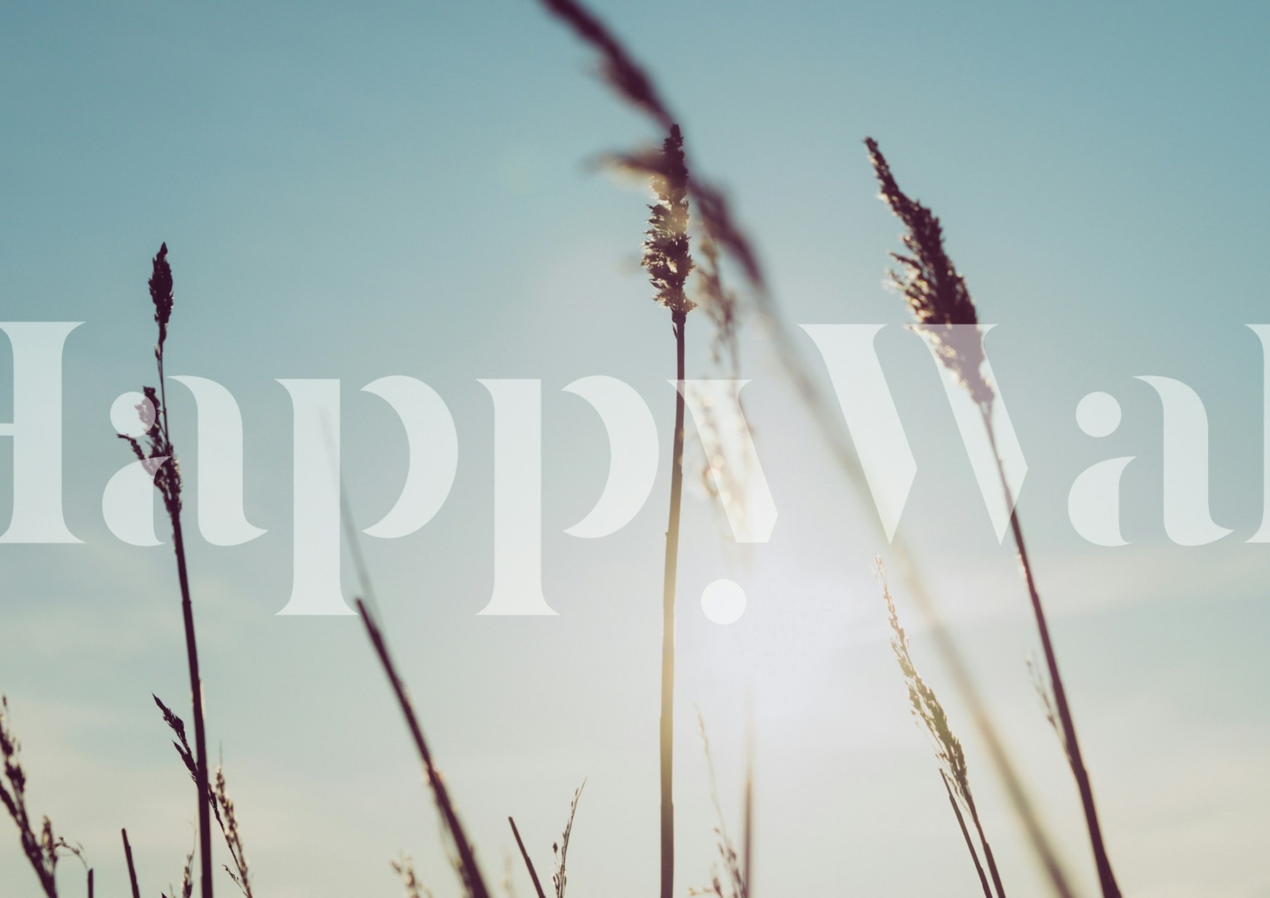 Veggmaleri av siv silhuett mot en solnedgangshimmel på stranden