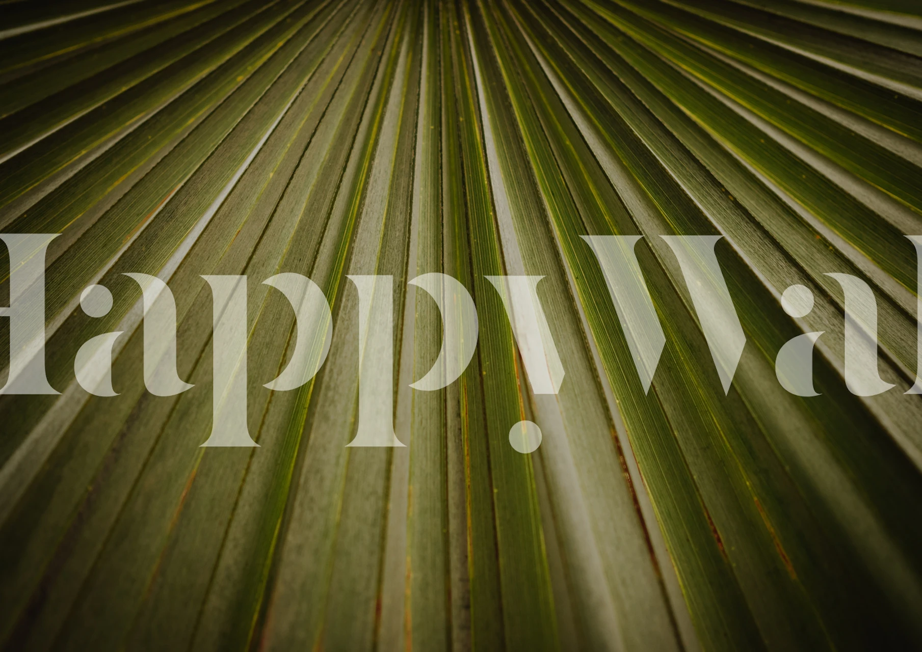 Green tropical leaf pattern wallpaper