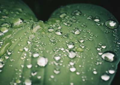 Τοιχογραφία