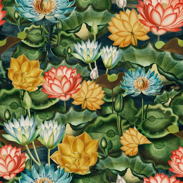 Enchanted Lotus Lake