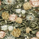 Golden Lotus Dreams