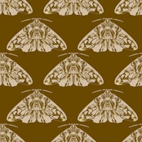 Vintage Moth Harmony tapeta