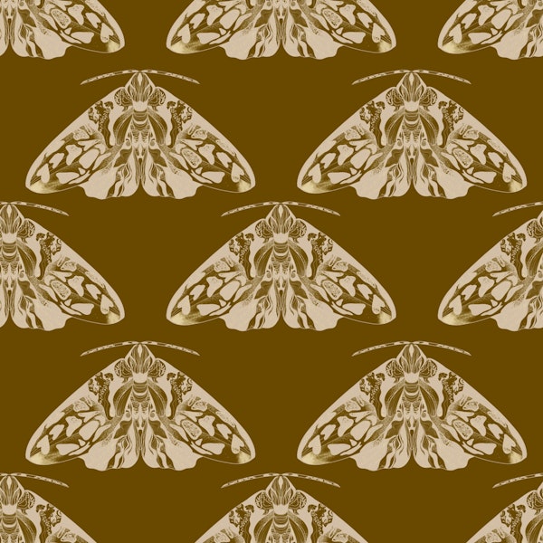 Vintage Moth Harmony