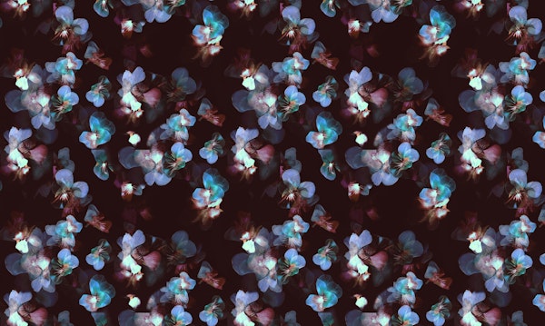 Delicate pansy petals