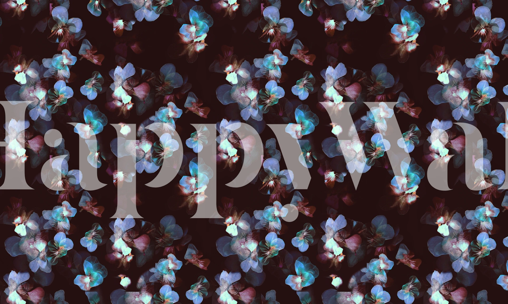 Blue pansy petals on dark background floral wallpaper