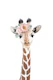 Flower Crown Giraffe