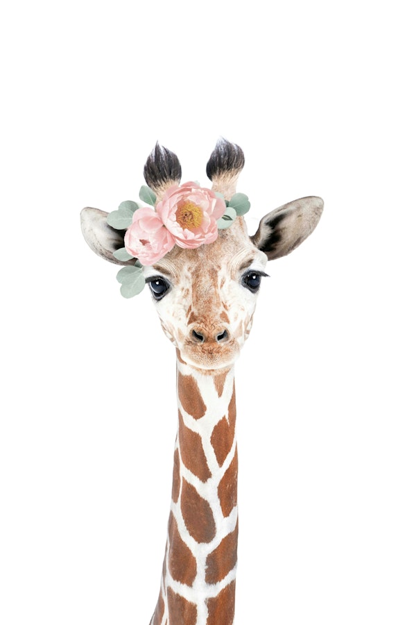 Flower Crown Giraffe
