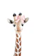 Pink Bow Giraffe