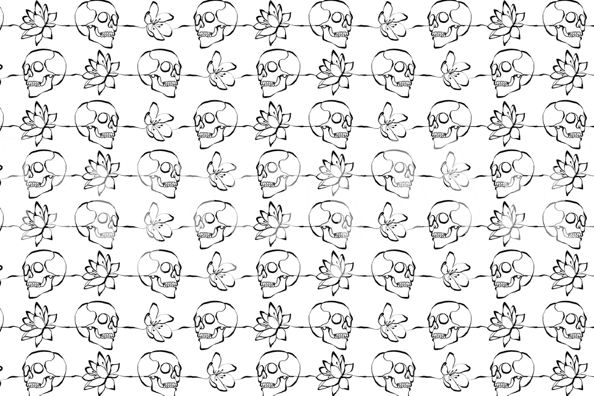 Skull Line Art wallpaper in a room